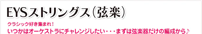 EYSストリングス(弦楽)クラシック好き集まれ!いつかはオーケストラにチャレンジしたい・・・まずは弦楽器だけの編成から♪